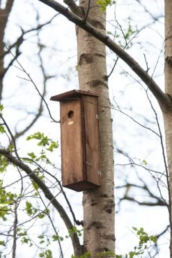 Esschert Vogelhuis Nestkast Grote Bonte Specht -Tuingereedschaps Winkel NKX 40