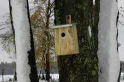 Esschert Vogelhuis Spiegelnestkast -Tuingereedschaps Winkel NKY 40