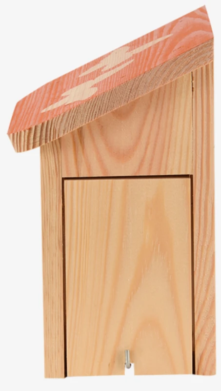 Esschert Diapositief Vlinderkast 4 Esschert Diapositief Vlinderkast - Afbeelding 2