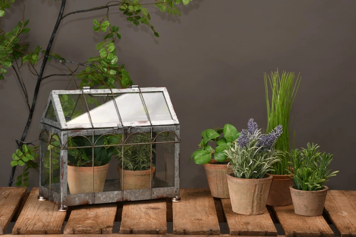 Esschert Kweekkas S 4 Esschert Kweekkas S - Afbeelding 2