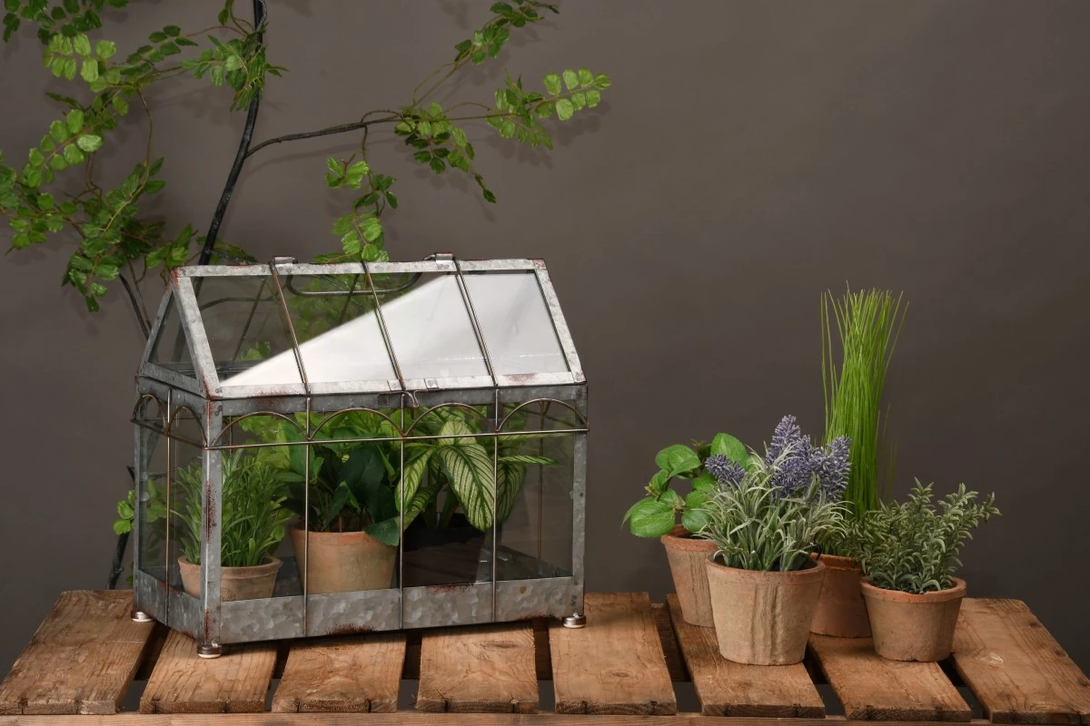 Esschert Kweekkas M 4 Esschert Kweekkas M - Afbeelding 2