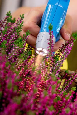 Gloria AutoPump Mini - 1 Liter Fijnsproeier NBR + LED Verlichting -Tuingereedschaps Winkel csm AutoPump Mini Detail 1 5f2afd1455