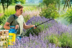 Gloria Drukspuit Hobby 5 Liter - Exclusiv -Tuingereedschaps Winkel csm hobby exklusiv Live 1 f54f7a9c8c