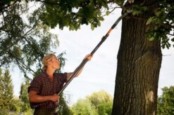 Tuingereedschaps Winkel -Tuingereedschaps Winkel fiskars telescoopsteel 140 240