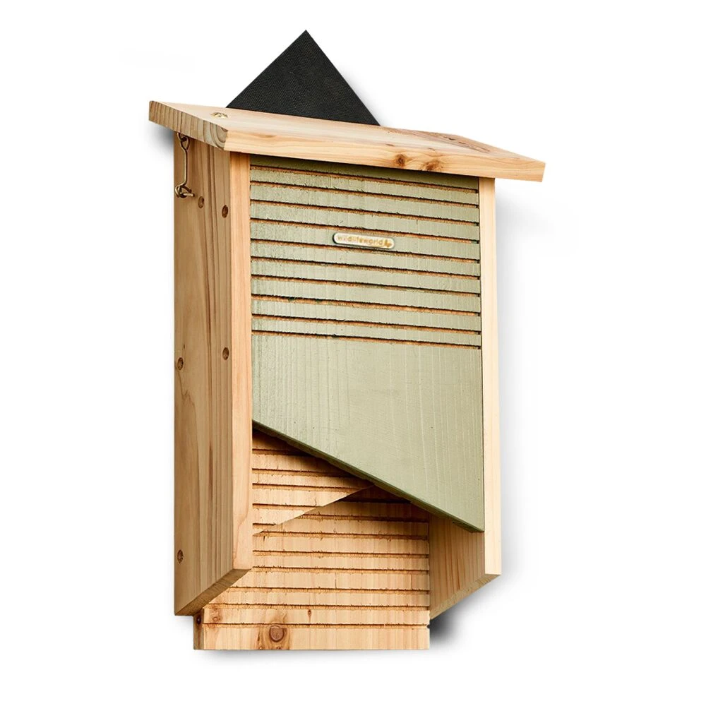 Vleermuishuis Conservation | Vleermuizen 3 Vleermuishuis Conservation | Vleermuizen