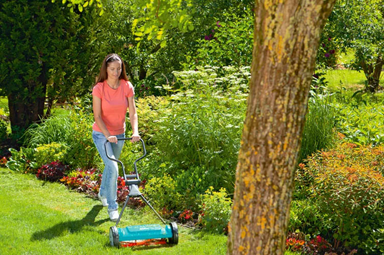 Tuingereedschaps Winkel -Tuingereedschaps Winkel fhyh